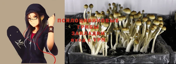 кокс Аркадак