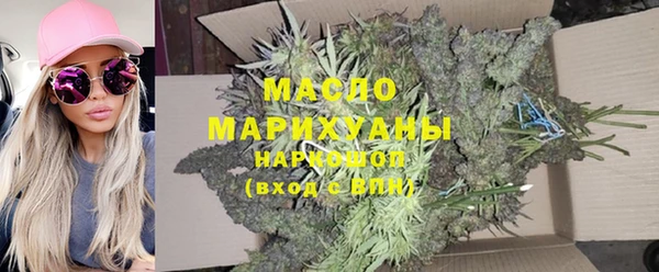 хмурый Арсеньев