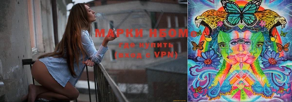 хмурый Арсеньев