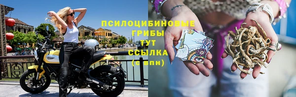 спайс Белоозёрский