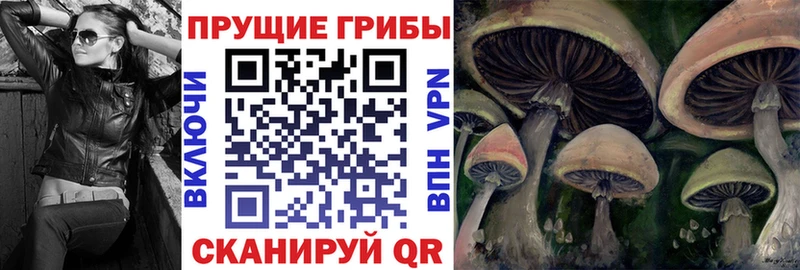 Галлюциногенные грибы мухоморы  Можга 