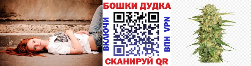 Канабис семена Можга
